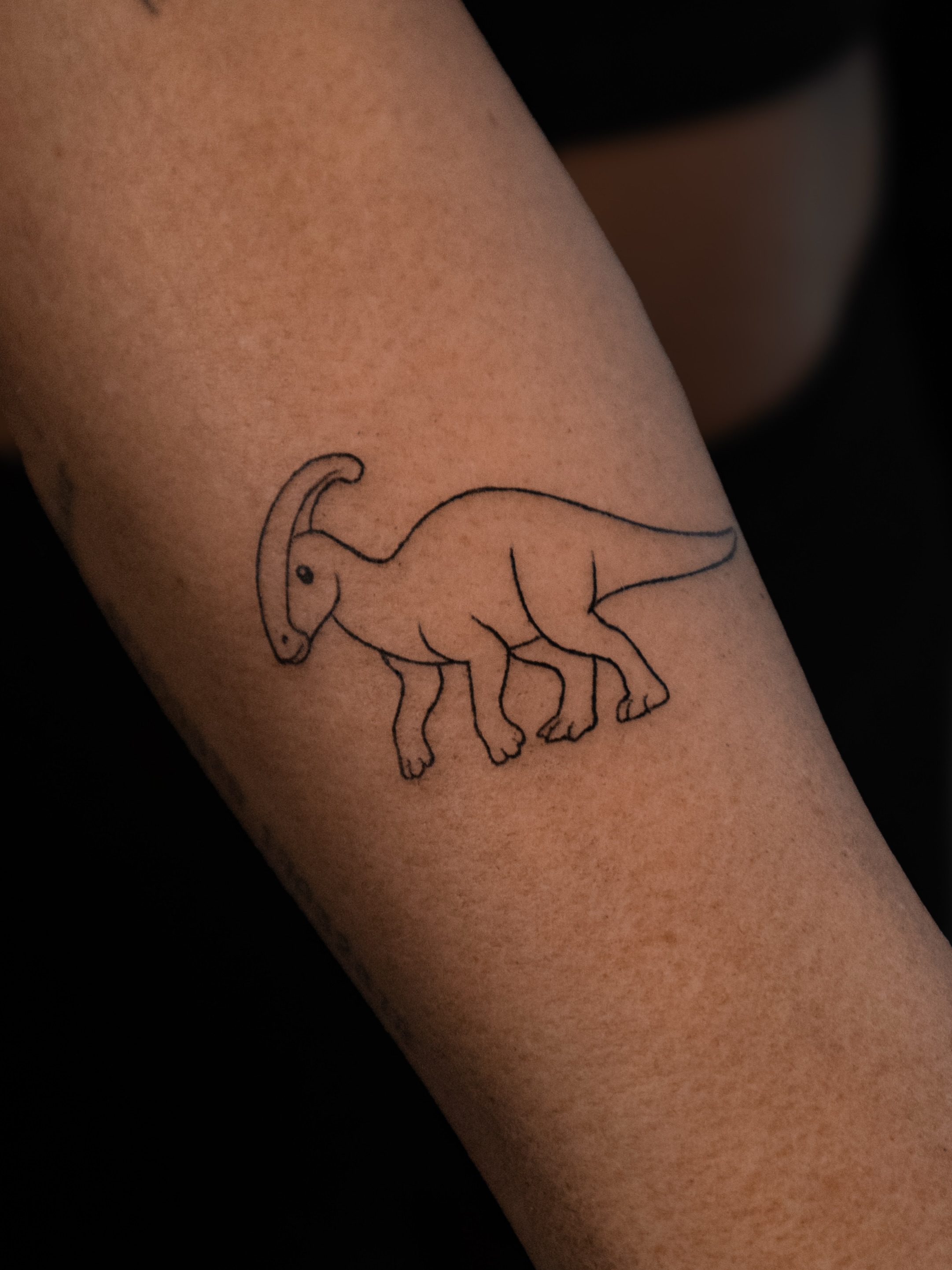 Kicsi tetoválás 🔥
#smalltattoo #budapesttattoo #dinosaurtattoo #cutetattoo #finelinetattoo